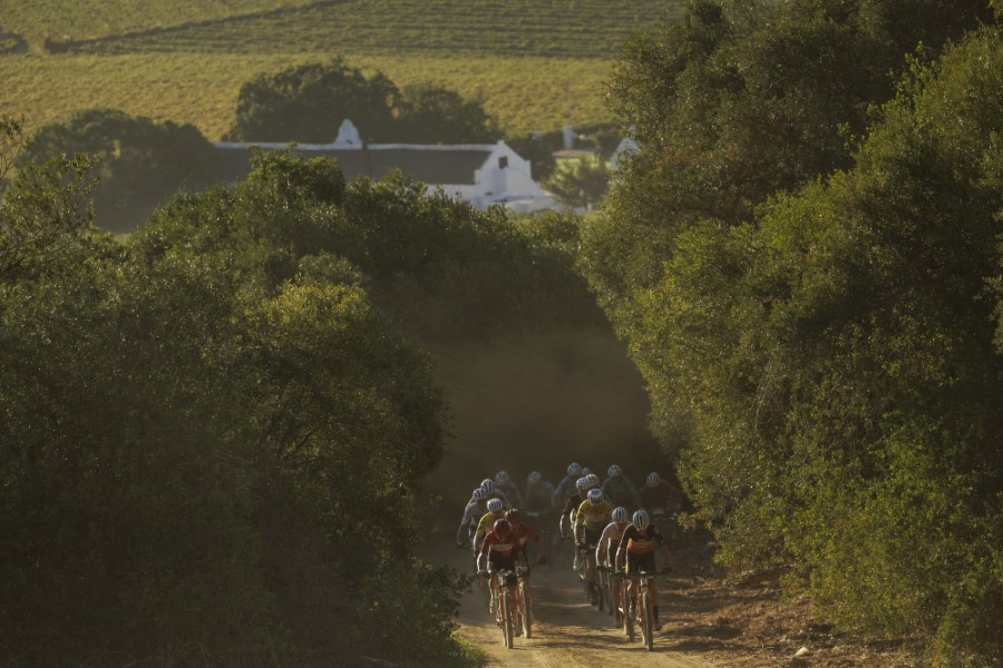 The leading bunch during Stage 3 of the 2025 Absa Cape Epic. Photo by Nick Muzik/Cape Epic.
