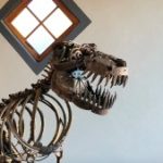 Profile photo of Pietro Petzer