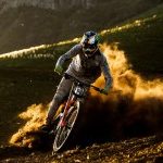 Profile photo of arno