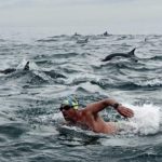 Profile photo of howard